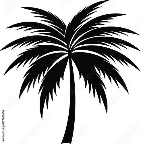 a palm tree leaf silhouette vector 