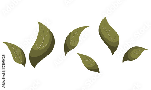 Set of six hand drawn leaves in flat style. Vector collection of green botanical elements for cards, patterns and web. Cartoon stylisation of plants