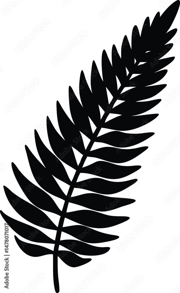 Fototapeta premium a black and white silhouette of a fern leaf