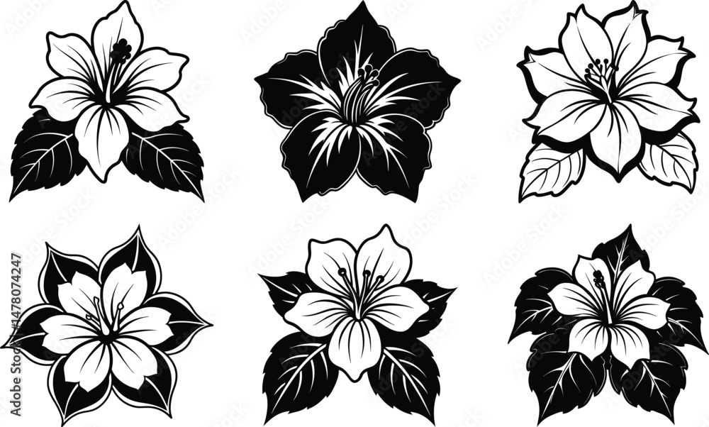 Obraz premium Six Hibiscus Flower Designs Black and White Illustrations,
