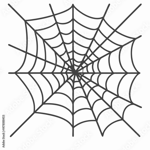spider web vector