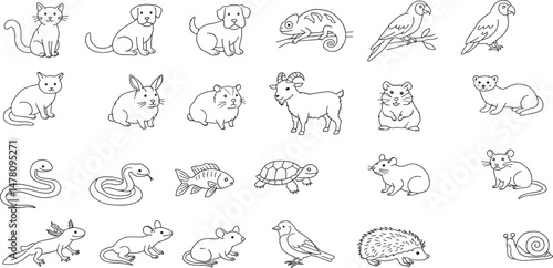 Pets Line Editable Icons set. Vector illustration in modern thin line style of domestic animals related icons: insects, rodents, lizards, exotic animals, and more.