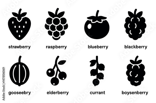 Berry fruit icons set – solid, silhouette, isolated berry and fruit design elements