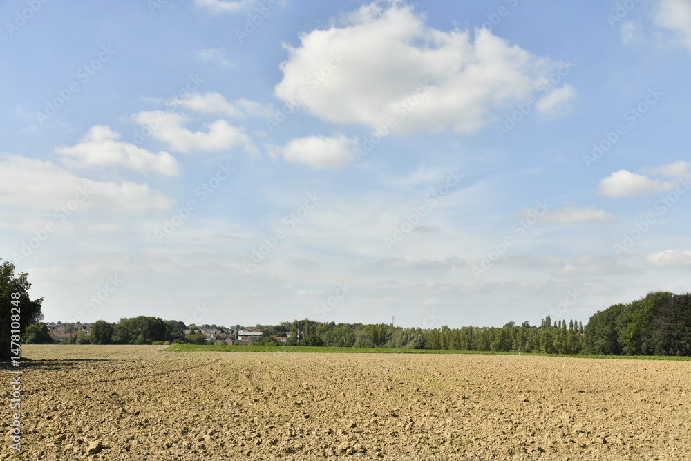 Obraz premium Champs de pommes de terre après semence à Écaussinnes-Lalaing