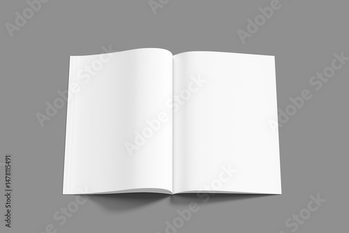 Blank Magazine