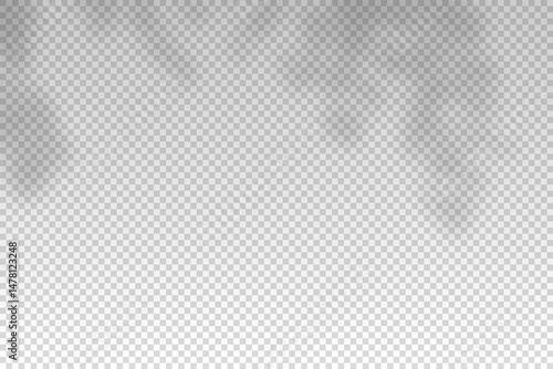 Plants overlay shadow. Reflect light from branches. Sun rays reflection shadows on wall. Reflected shades isolated on transparent background. Horizontal shading design mockup. Vector illustration