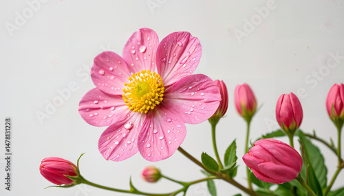 Le charme des fleurs roses
