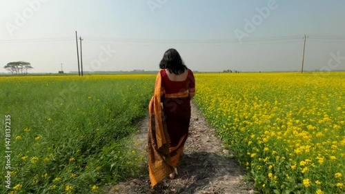 A bengali lady wearing traditional bengali dress called Sharee and walking through mustard field