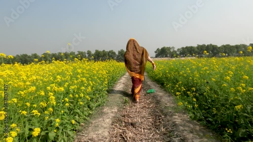 A bengali lady wearing traditional bengali dress called Sharee and walking through mustard field