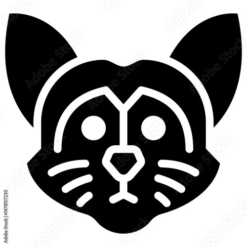 raccoon solid icon