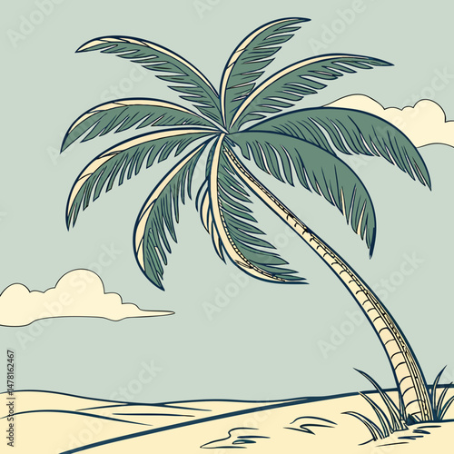 palm trees on the beach