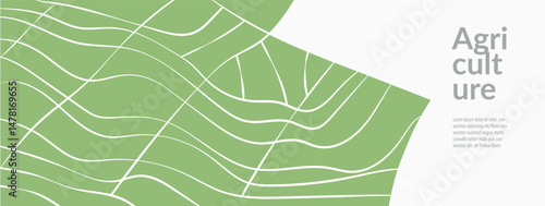 Green field vineyard wheat rice and tea elegant modern abstract vector design. Geometric pattern, eco-friendly element highlight farmland and agriculture. Aerial view with wavy lines, for packaging