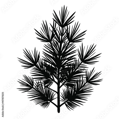Black Silhouette of a Pine Tree Branch with Needles Vector Graphic