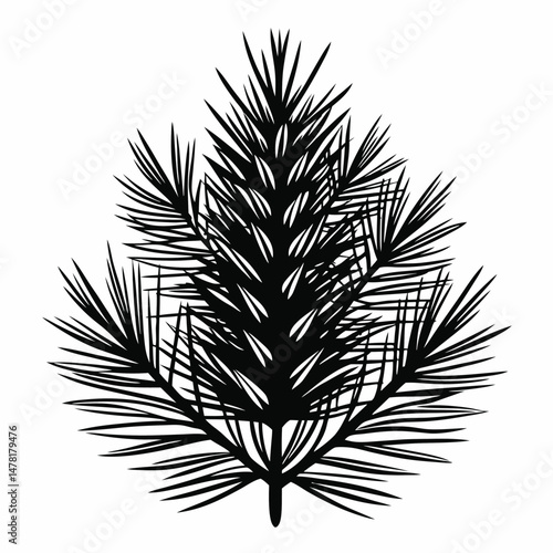 Abstract Black Silhouette of Pine Tree Branch with Needles, Vector Illustration