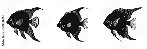 Elegant black and white silhouettes of angelfish, showcasing detailed fin structures.