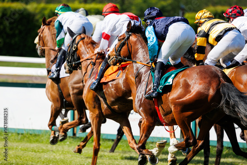 Group of jockeys racing on thoroughbred horses by green grass track race course back view on sunny day. Riders wear colorful uniforms under bright daylight, surrounded by trees and racetrack rails