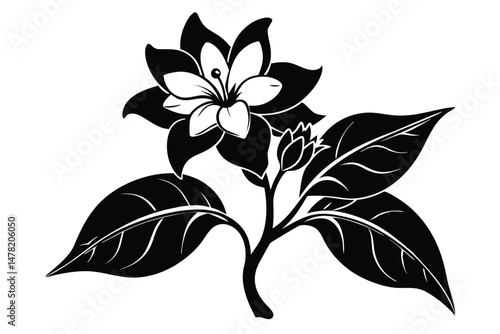 Bold Graphic Flower Illustration Black Blossom with Detailed Leaves and Bud Design