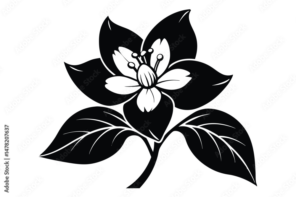 Fototapeta premium Graphic Illustration of a White and Black Flower with Stem and Leaves Design