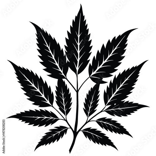 Stylized Black Leaf Branch with Pointed Lobes, Botanical Illustration, Isolated Graphic