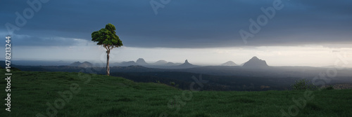 Solitary tree under stormy sky with Glass House Mountains in the background, Queensland, Australia