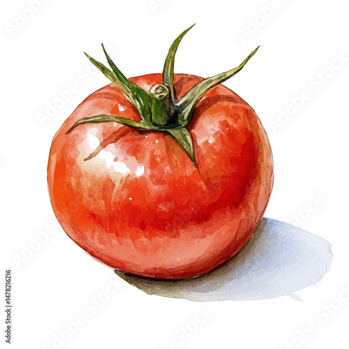 Pomodoro Timer, watercolor vector, isolated on a white background.