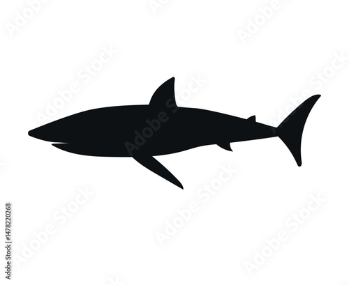 Vector flat hand drawn shark silhouette isolated on white background
