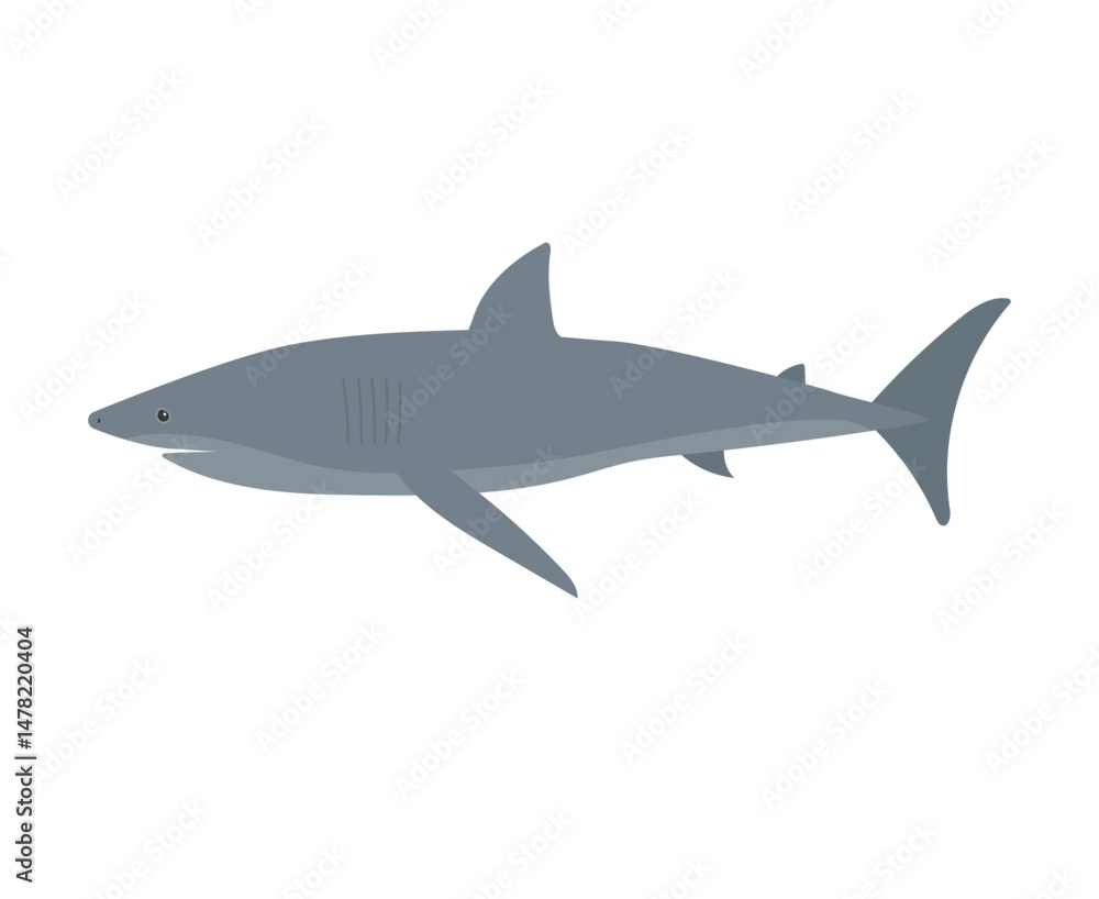 Vector flat hand drawn shark isolated on white background Vector flat hand drawn shark isolated on white background