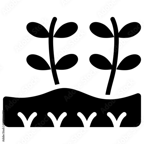 rice field solid icon