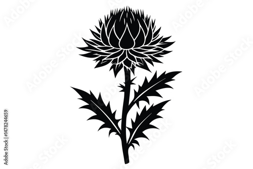 Wallpaper Mural Black Silhouette of a Thistle Flower with Spiky Leaves and Stem Illustration Torontodigital.ca