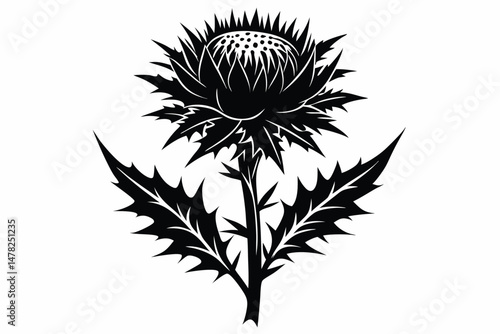 Wallpaper Mural Black and White Illustration of a Spiky Thistle Flower and Leaves Design Torontodigital.ca