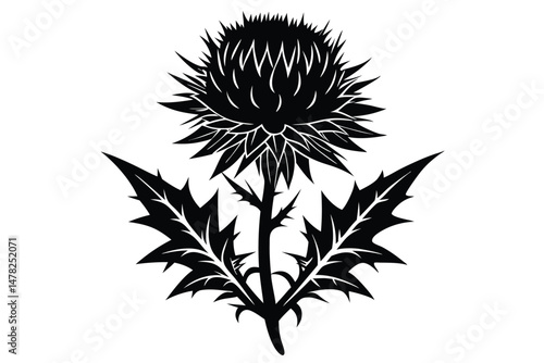 Elegant Black and White Thistle Flower with Spiky Leaves Illustration Design