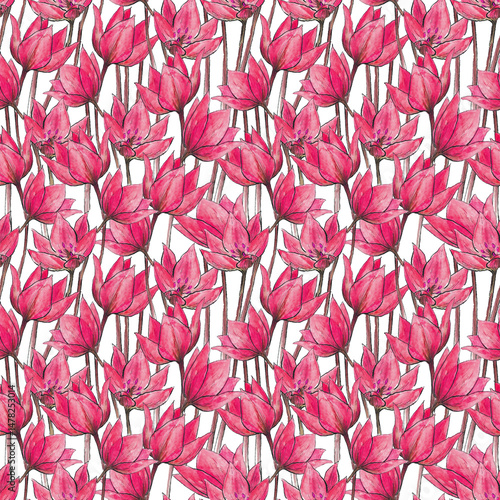 hand drawn watercolor seamless pattern of magenta flowers on a white background. blossom spring ornament of pink tulips for textile