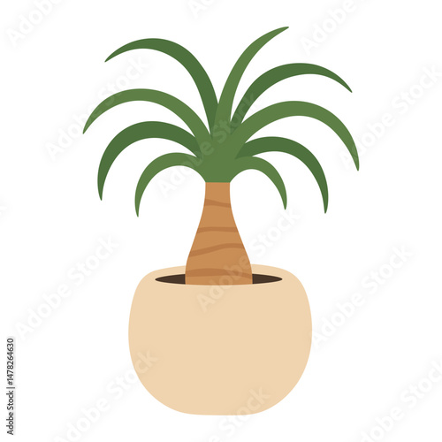 Flat cartoon ponytail palm with long curved leaves and thick trunk in a soft ceramic pot.