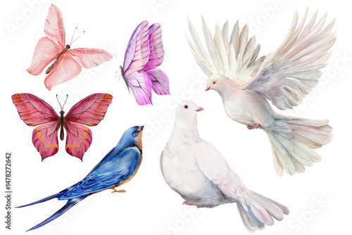 Watercolor set of birds and butterflies — doves, swallow, pink wings. Isolated on a white background