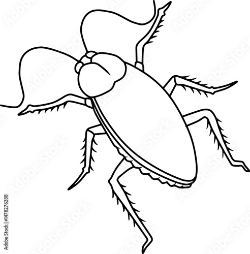 cockroach line vector illustration isolated on white background