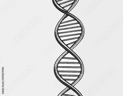 Line Art DNA Helix Illustration