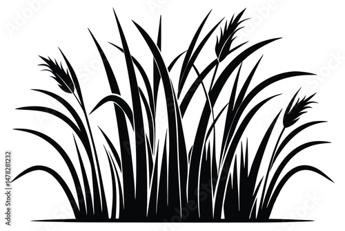 Detailed Illustration of Grassy Plants and Cattails in Black Silhouette Style