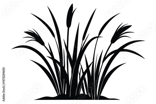 Black Silhouette of Cattails and Grasses in a Wetland Marsh Environment