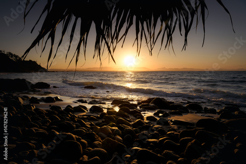 Fototapeta Golden sunset over the rocky coastline of Byron Bay, New South Wales, viewed under pandanus leaves