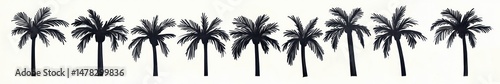 Row of tall black palm tree silhouettes evenly spaced on a white background creating a tropical pattern