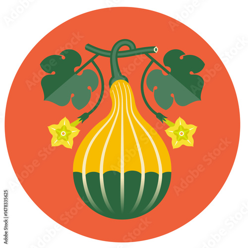 Muscat pumpkin, squash, bottle gourd with leaves and flowers. Symmetrical flat illustration on a circle background for label or packaging.