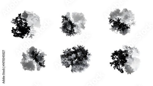 Six Aerial Views of Lush Greenery Trees Top View
