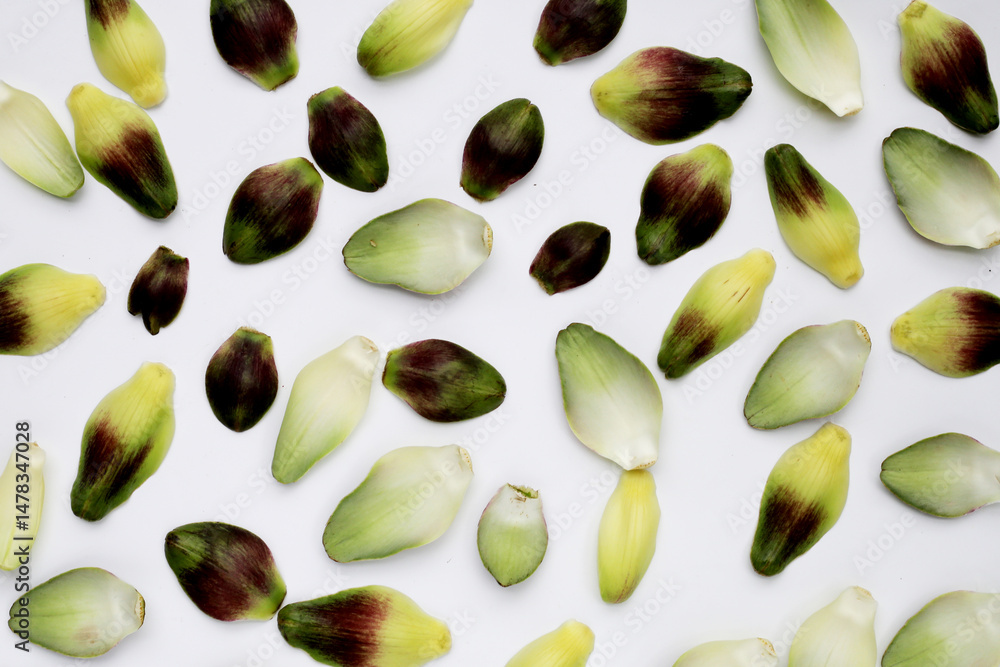 Artichoke petals on white background. Artichoke petals on white background.