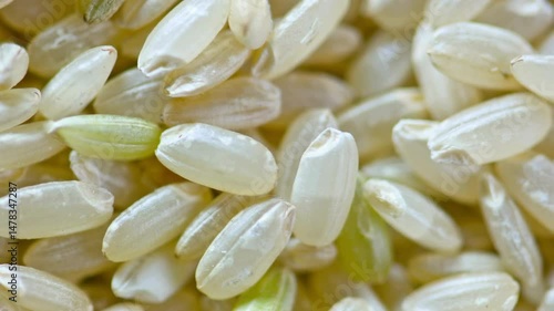 Close-up view of unpolished brown rice grains