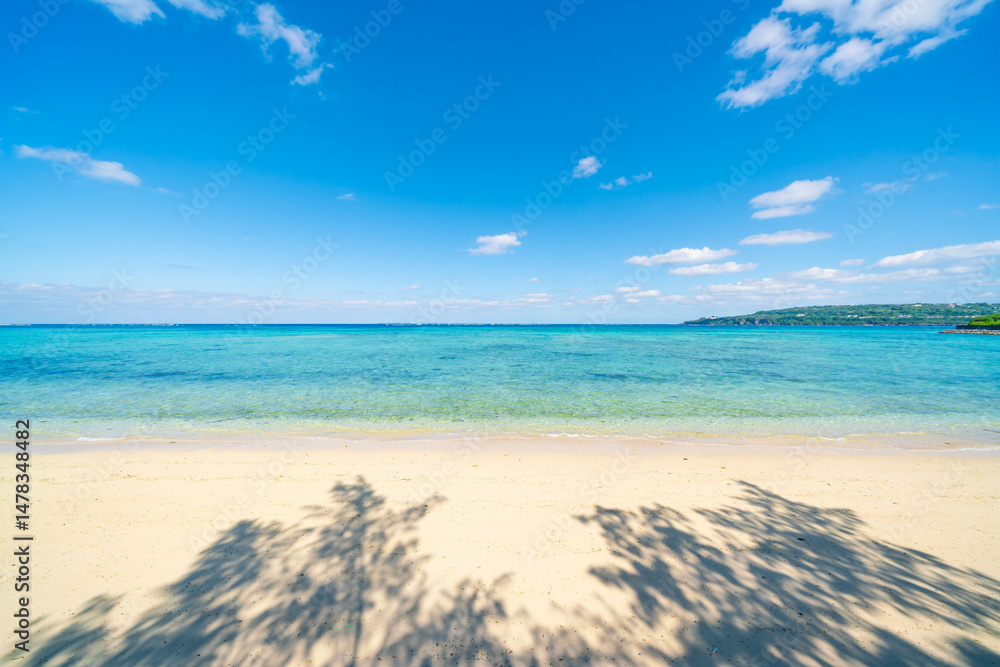 custom made wallpaper toronto digital沖縄の海