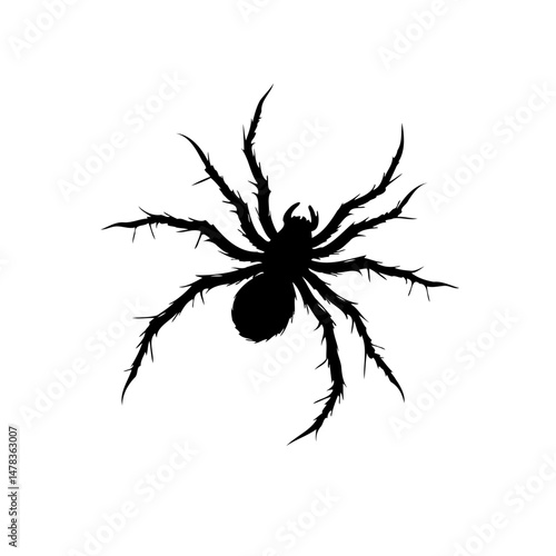 Silhouette of a spider with long legs creeping into your worst nightmare