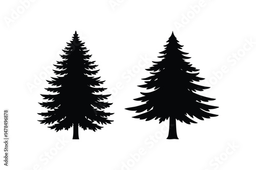Pine tree silhouette on white background