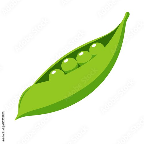 A vibrant green pea pod opened to reveal fresh, round peas inside, a nutritious vegetable.