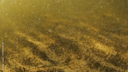 Underwater view of the bottom of a murky lake full of sediments moving with rhythm of a swell