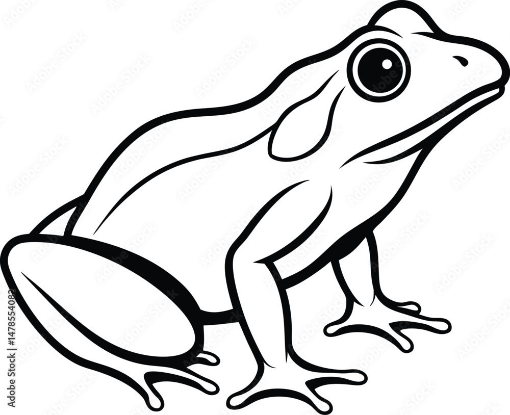 hand drawn vector illustration of a frog hand drawn vector illustration of a frog